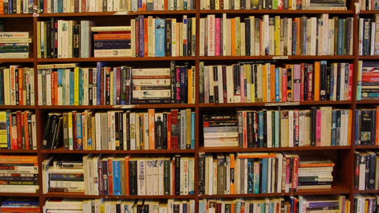 A Shelf Full Of Books - Traditional Publishing Vs Self Publishing